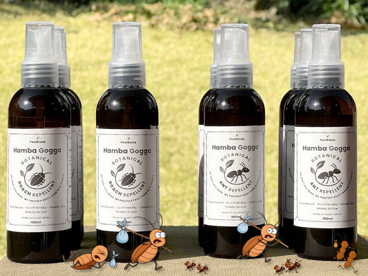 Meet Hamba Gogga – Our in-house Natural Pest Repellent powered by plants