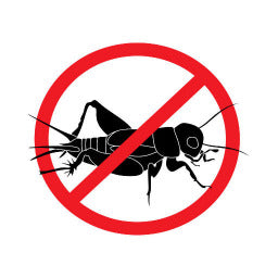 Crickets