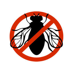 Flies