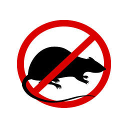 Rodents