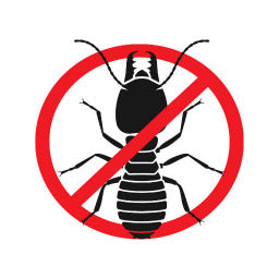 Termites